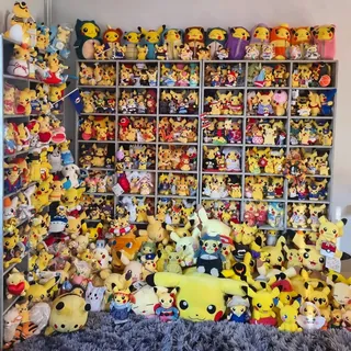The whole Pikachu family on its shelves, June 2026